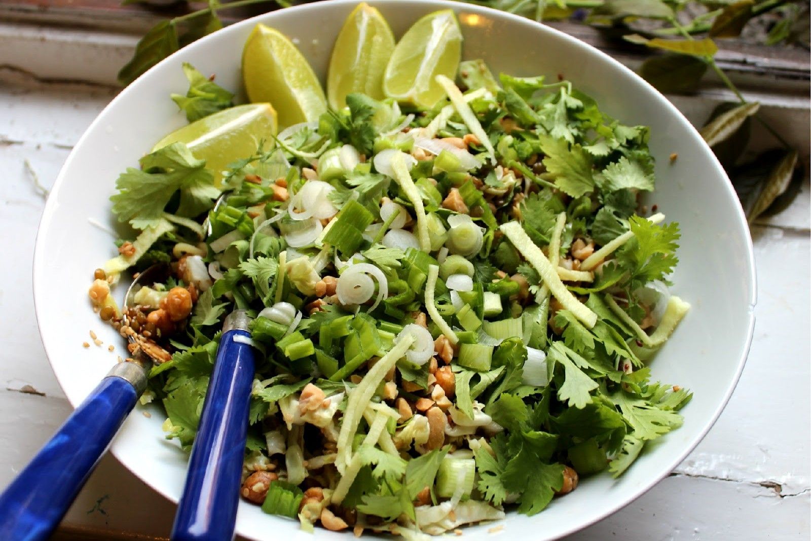 burmese-ginger-salad-recipe-gin-thoke