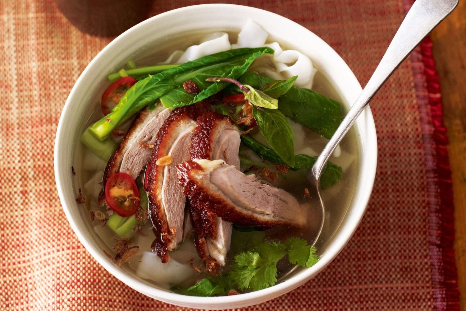 duck-noodle-soup-recipe